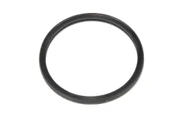 12680544 Ac Delco 808709637158 Acdelco Gm Genuine Parts Engine Coolant Thermostat O-ring