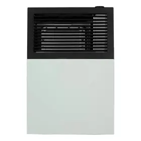 Dvag8n Ashley Direct Vent Wall Heater 8 000 Btu Natural Gas 275 Sq Ft