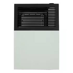 Ashley Furniture Dvag8l Hearth Products 8 000 Btu Direct Vent Liquid Propane Wall Mount Heater