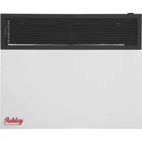 5944852 Ashley Hearth Wall Heater Dual Fuel 25k Direct Vent Heat Output