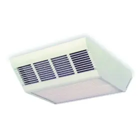 2yu44 Dayton Convection Ceiling Heater 208v 17 100btu