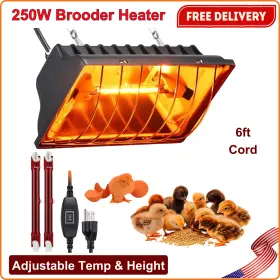 E40702-gst-na Gsdotzap 250w Chicken Brooder Heater With 2pcs Heat Lamp For 30 Chicks
