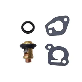 Habiiid 716035764458 Thermostat Kit For Mercury Mariner 6 8 9.9 15 20 25 Hp 120 Replaces 145