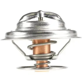 248-160 Motorad Thermostat