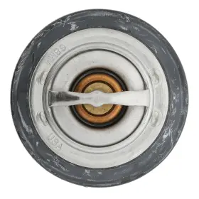 Thermostat-180 Motorad 4071-80 Hd Degrees With Seal