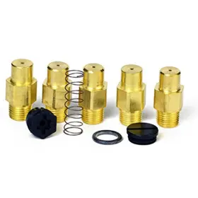 F260163 Mr. Heater 089301601635 Big Maxx Fuel Conversion Kit Ng To Lp Multi