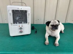 Hb-301 Pelonis Vintage 1500w Portable Space Heater