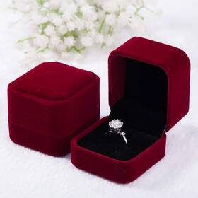 The Fashion Rx That Could Save Your Life 011727071480 2 Pack Velvet Ring Boxes Earring Pendant Jewelry Case Earrings Gift Bo