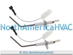 (2 Pack) Climatek Flame Sensor For Icp Heil Tempstar 1176920 1179161 New. Price: $13.95.