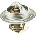 Motorad 7204-160 Fail-safe Thermostat New. Price: $10.61.