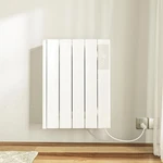 Breezeheat 800W Convection Panel Heater Wall Mount Or Freestanding W/ Remote New. Price: $79.99.
