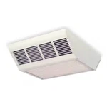 Dayton 2YU42 Convection Ceiling Heater, 277V, 17, 100BTU New. Price: $881.99.