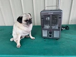 Soleil TFH-205 Utility Heater Space 1500 Watt Intertek Co. Safety Switch Used. Price: $17.00.