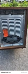 Storm Infrared Heater Wood Cabinet Portable Indoor 1500W HS-1500-ILODB Used. Price: $74.90.