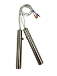 Lennox & Iron Strike Winslow PS40 PI40 Igniter, Element Starter, H6005 2-PACK! New. Price: $45.95.