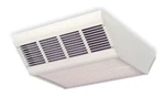 Dayton Ceiling-mounted Heater 2YU47 Trim Kit Accessory New. Price: $199.99.