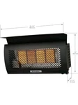 Dimplex DGR32WNG Patio Heater Wall Mounted Natural Gas Infrared 31,500 Btu New. Price: $384.00.