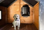 New Akoma 150W Heat-n-breeze Deluxe Heater & Cooler For Dog House Freeship. Price: $140.99.