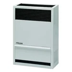 Williams Comfort Products 1403822 Surface-mount Wall Heater, Natural Gas, New. Price: $1058.99.