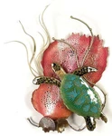 Bovano - Wall Sculpture Mini Sea Turtle And Fan New. Price: $216.00.