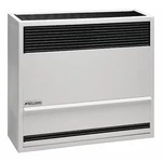 Williams Comfort Products 3003821 Surface-mount Gas Wall Heater, Propane, New. Price: $1428.99.