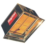 Dayton Gas Infrared Flat Panel Heater, Ng, 60,000 Btuh Input, 22 1/2 X 19 New. Price: $920.97.