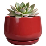 Ceramic Pot Plants 6 Inch Drainage Tray, Modern Living Room Decor Red Planter New. Price: $29.73.
