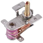 Delonghi Radiator Thermostat WK03 250V 16A 5210810031 New. Price: $9.54.