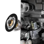 Automotive Replacement Thermostat Coolant High Perfo New. Price: $15.30.