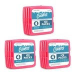 Coolers By Fit + Fresh, Reusable & Long-lasting Slim Ice Packs, Cold New. Price: $24.80.